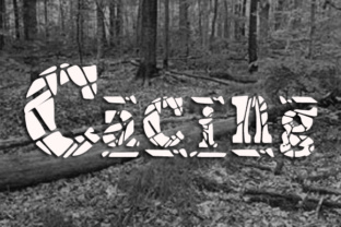 Cacing: A Funky Display Font for Memorable Branding