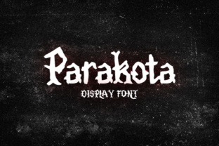 Parakota: A Bold Display Font for Campaigns