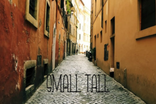 Small Tall: A Classy Display Font for Web Design