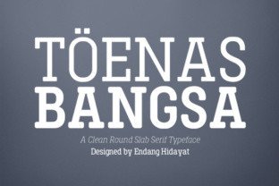 Toenas Bangsa: A Modern Slab Serif for Makers