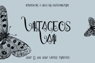 Vintageos Vain: A Vintage Display Font for Web Design